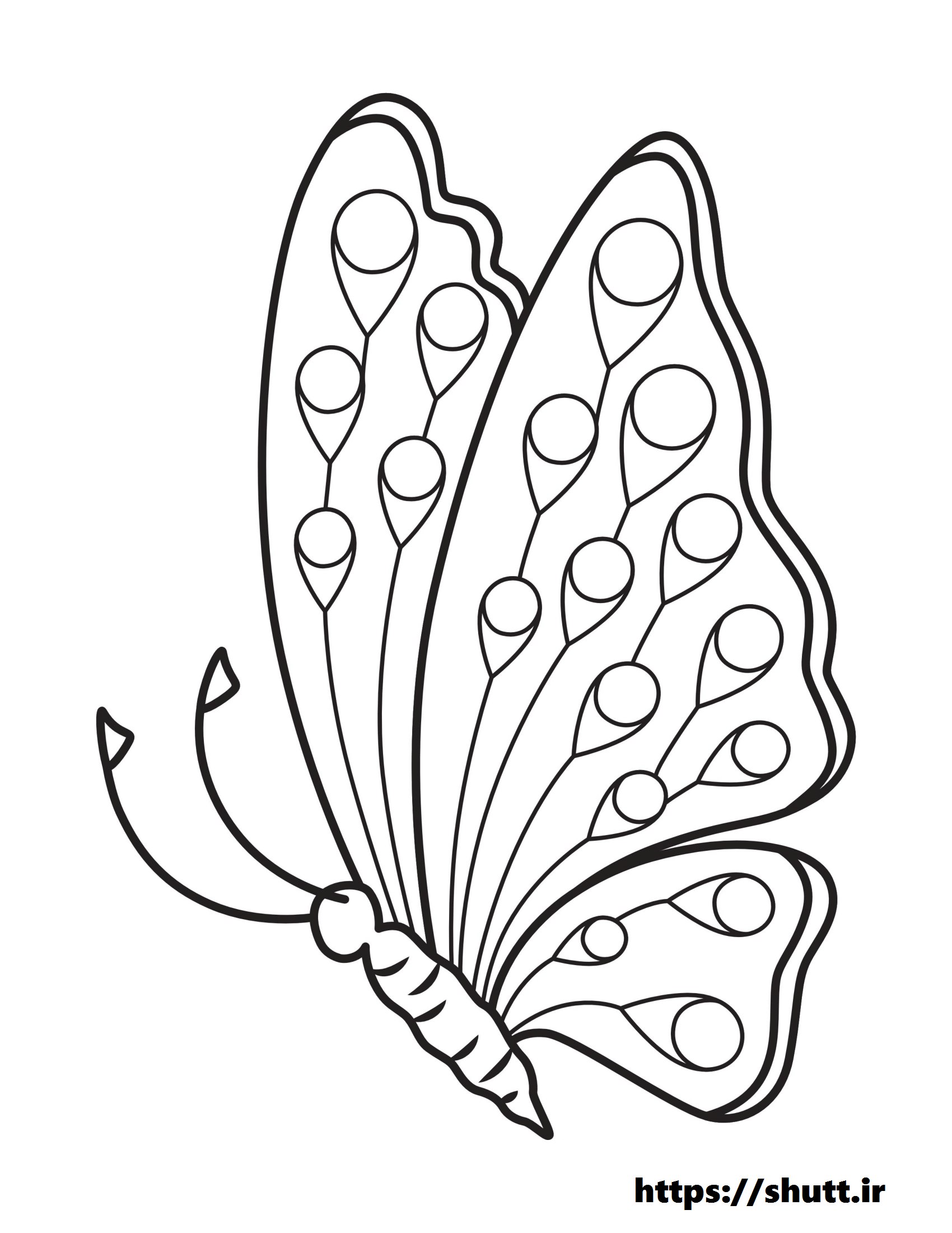 رنگ آمیزی نقاشی پروانه