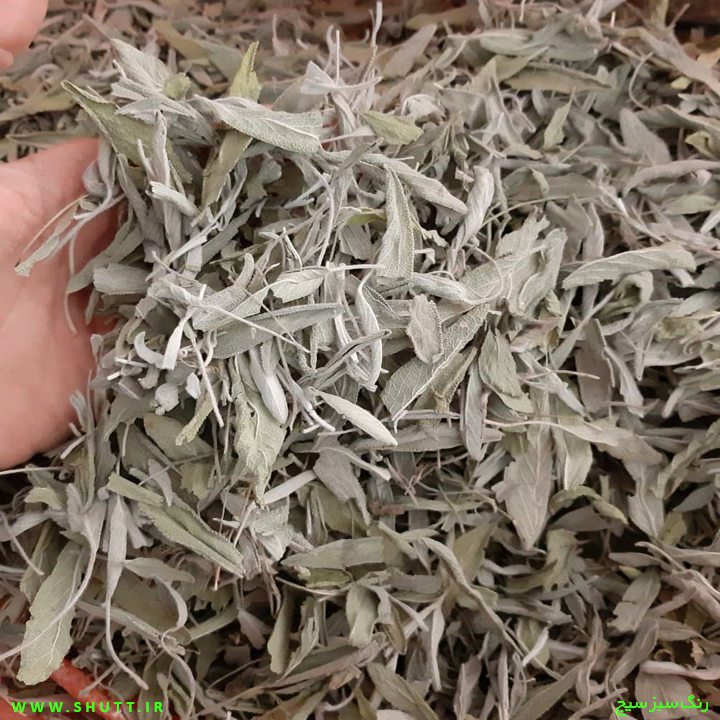 رنگ مریم گلی