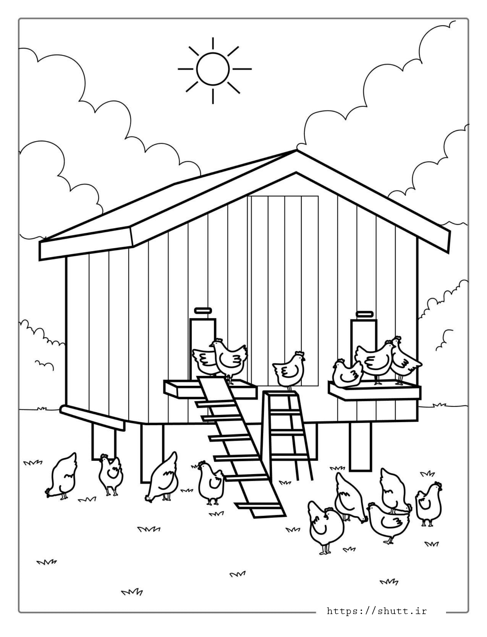 رنگ آمیزی مرغ