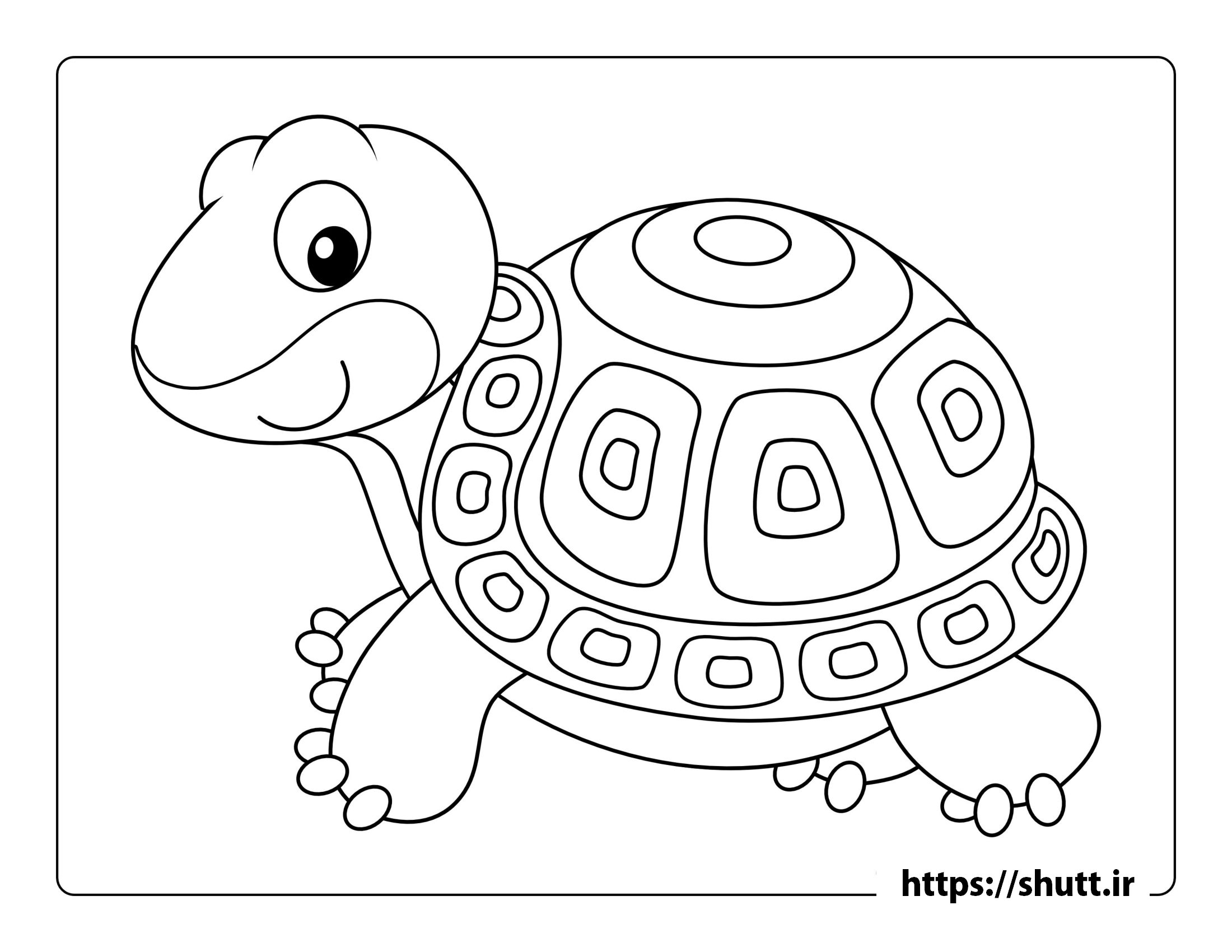 Featured image of post رنگ آمیزی نقاشی لاک پشت