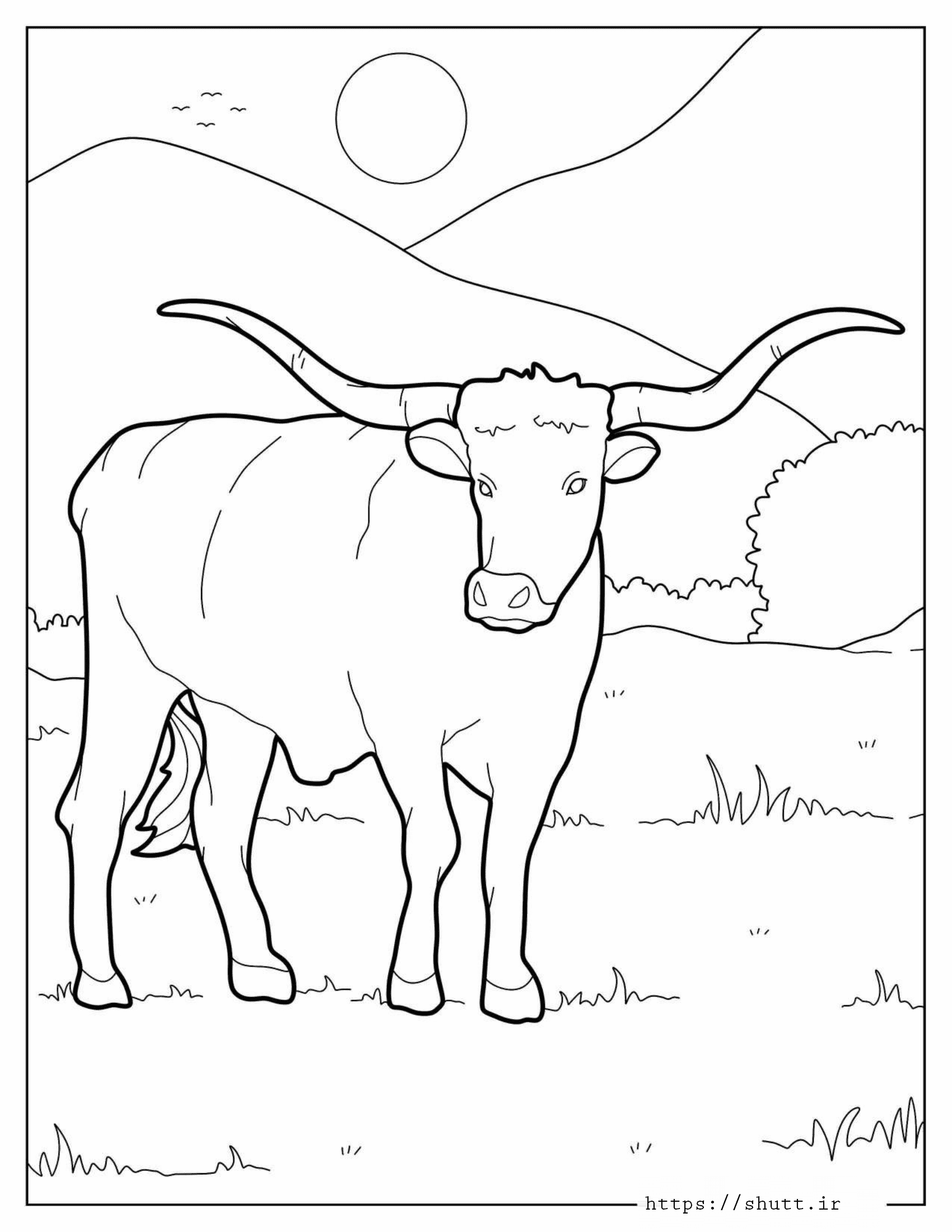 رنگ آمیزی نقاشی گاو