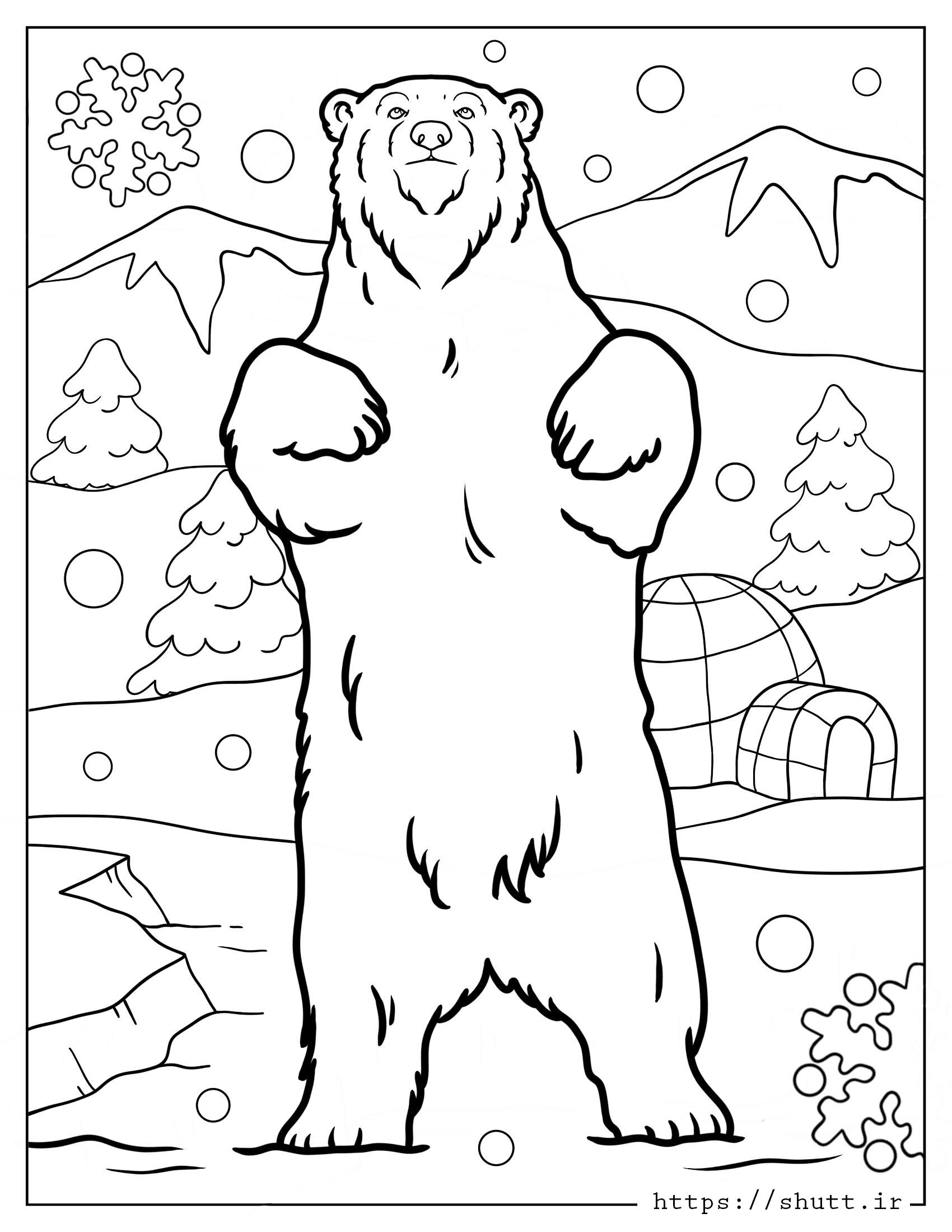 نقاشی خرس برای رنگ آمیزی