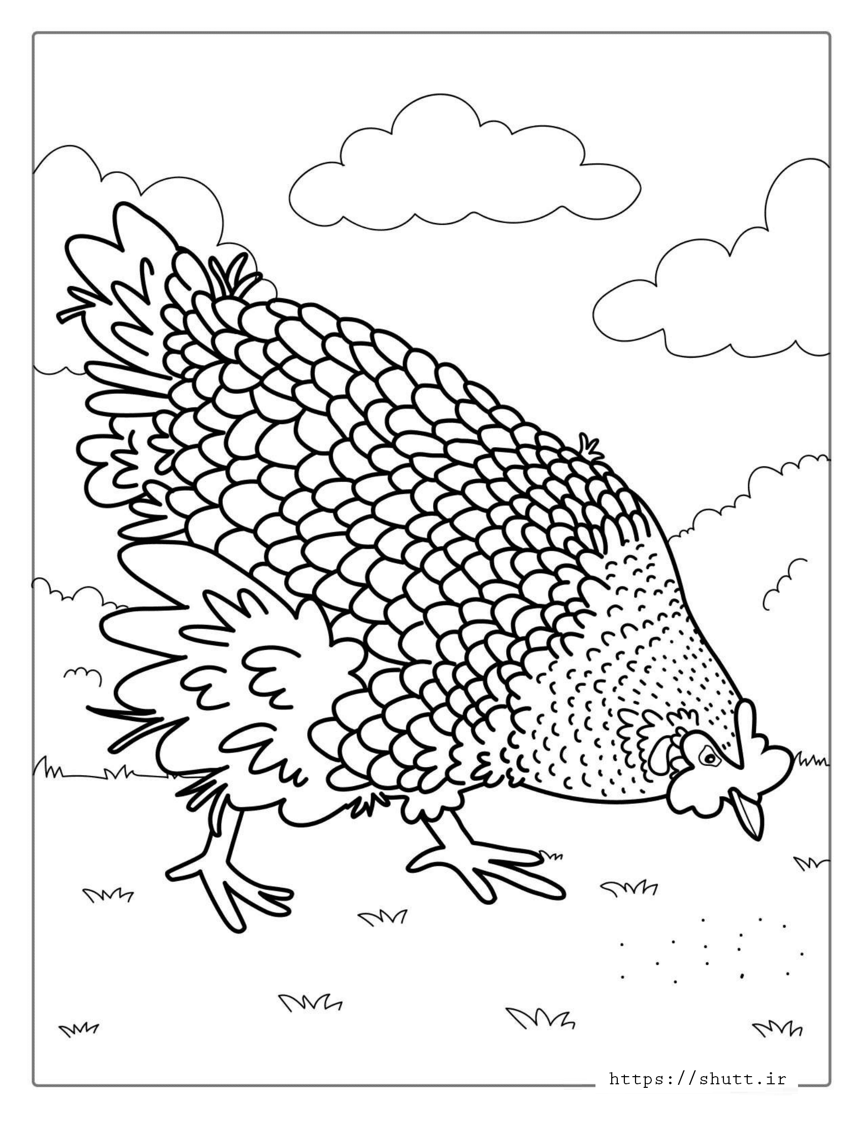 Featured image of post رنگ آمیزی نقاشی مرغ