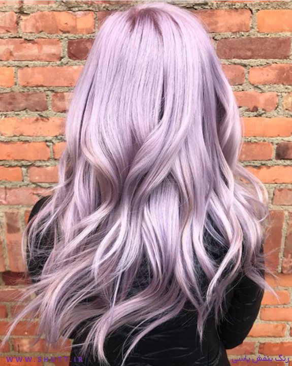 رنگ مو یاسی