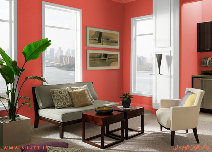 دکوراسیون گوجه ای