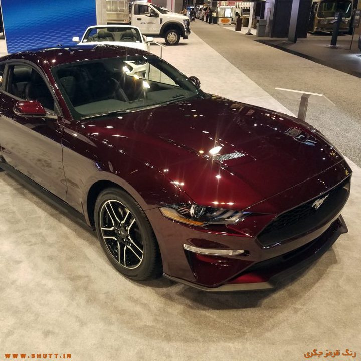 ماشین رنگ جگری